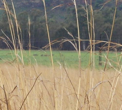 this was our first Warthog sighting.